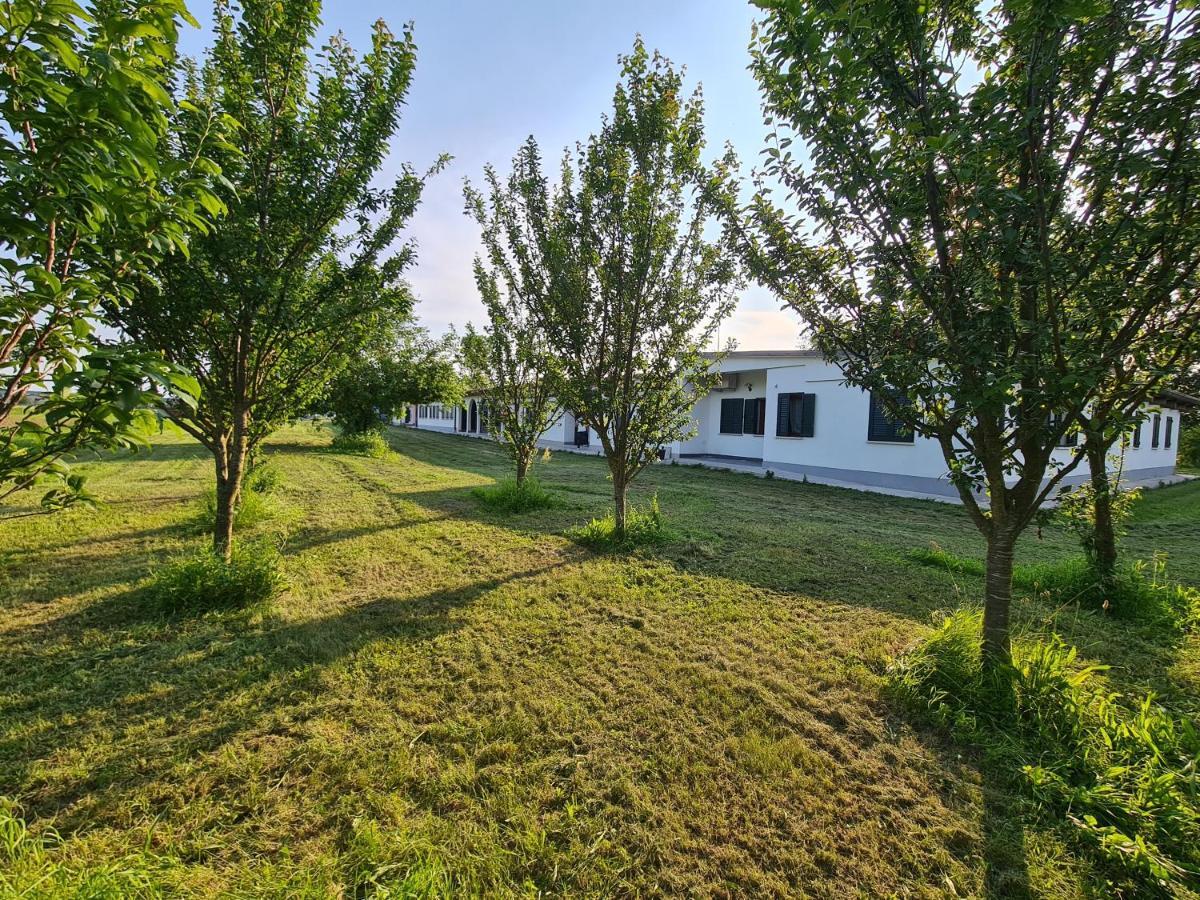 Agriturismo Ca Novak Venezia Spinea Exterior photo
