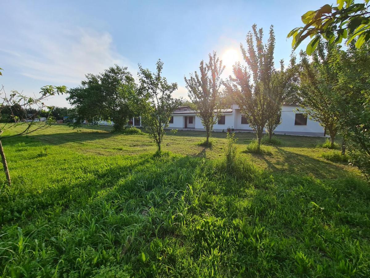 Agriturismo Ca Novak Venezia Spinea Exterior photo